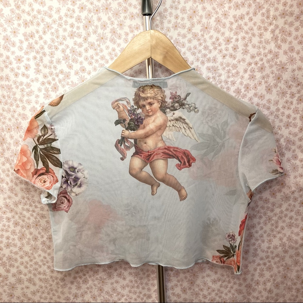 Nasty Gal Cherub Mesh Crop Top